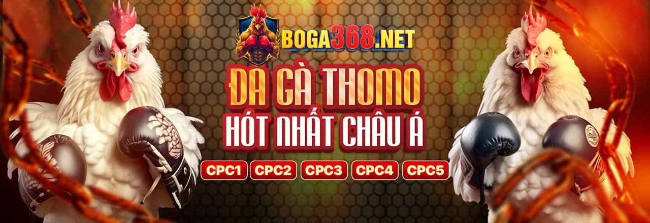 Hình ảnh giới thiệu 77 ball casino, thể hiện sự uy tín và chất lượng của nền tảng giải trí trực tuyến hàng đầu.