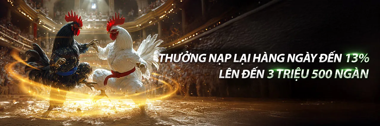 Banner khuyến mãi đá gà hấp dẫn